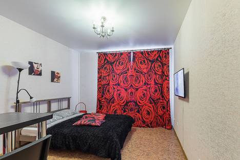 Однокомнатная квартира в аренду посуточно в Нижнем Новгороде по адресу Бурнаковская улица, 93