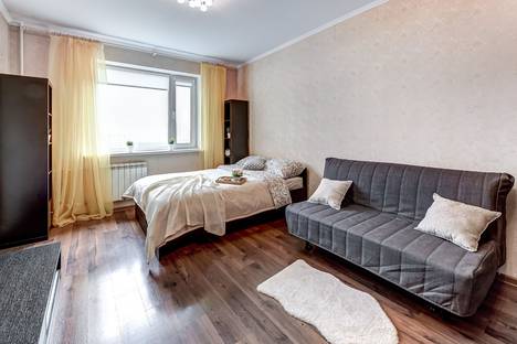 Однокомнатная квартира в аренду посуточно в Санкт-Петербурге по адресу улица Савушкина, 134к2, метро Беговая
