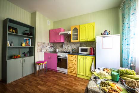 Однокомнатная квартира в аренду посуточно в Парголове по адресу посёулица Михаила Дудина, 25к2, метро Парнас