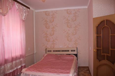 Однокомнатная квартира в аренду посуточно в Воронеже по адресу Пушкинская улица, 45