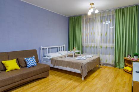 Однокомнатная квартира в аренду посуточно в Екатеринбурге по адресу улица Фурманова, 103, метро Чкаловская