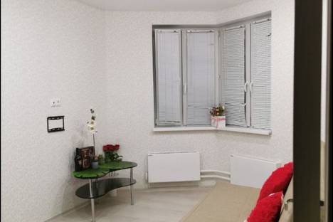 Двухкомнатная квартира в аренду посуточно в Москве по адресу улица Недорубова, 27, подъезд 3, метро Некрасовка