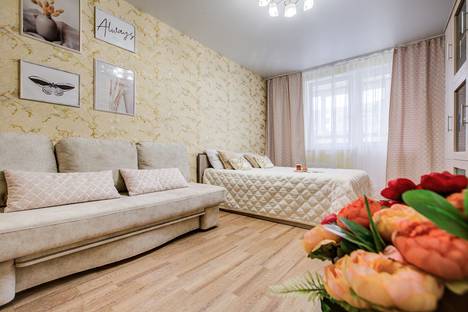 Однокомнатная квартира в аренду посуточно в Воронеже по адресу Средне-Московская улица, 62А