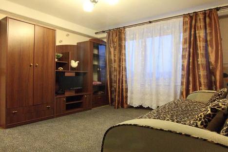 Однокомнатная квартира в аренду посуточно в Санкт-Петербурге по адресу Пискаревский проспект 39