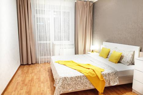 Трёхкомнатная квартира в аренду посуточно в Екатеринбурге по адресу Фурманова 123