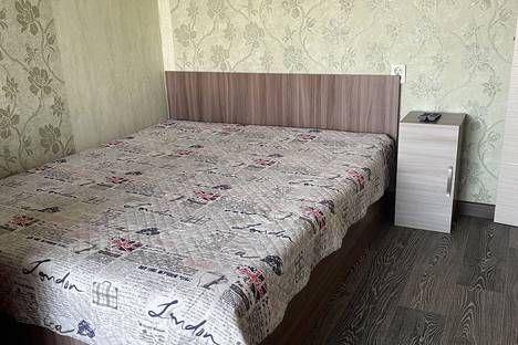 Однокомнатная квартира в аренду посуточно в Петропавловске-Камчатском по адресу Туристический проезд, 28