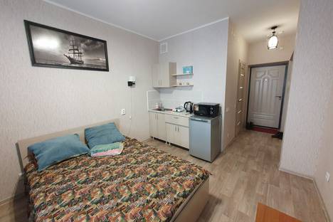 Однокомнатная квартира в аренду посуточно в Красноярске по адресу улица Александра Матросова, 40