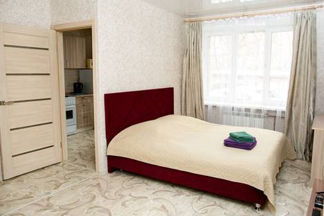 Однокомнатная квартира в аренду посуточно в Иркутске по адресу Красноармейская улица, 13