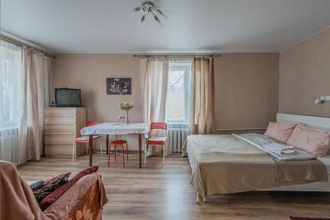 Однокомнатная квартира в аренду посуточно в Павловске по адресу улица Васенко, 10А