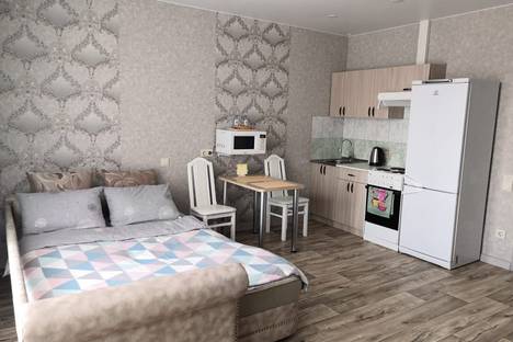 Однокомнатная квартира в аренду посуточно в Барнауле по адресу ул. Пролетарская 160