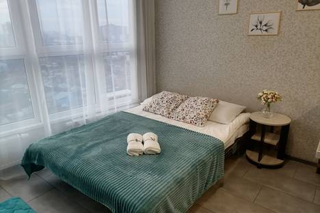 Однокомнатная квартира в аренду посуточно в Краснодаре по адресу Восточно-Кругликовская улица, 42/3к2
