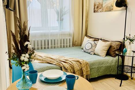 1-комнатная квартира в Новосибирске, улица Челюскинцев, 30, м. Площадь Гарина-Михайловского