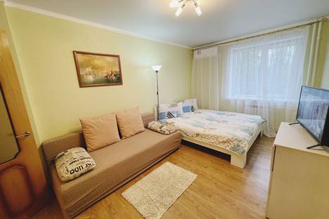 Однокомнатная квартира в аренду посуточно в Борисоглебске по адресу Аэродромная улица, 5Б