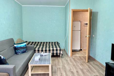 Однокомнатная квартира в аренду посуточно в Южно-Сахалинске по адресу Сахалинская улица, 47