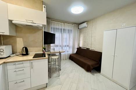 1-комнатная квартира в Казани, улица Галактионова, 3Б, м. Площадь Тукая