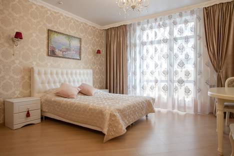 Однокомнатная квартира в аренду посуточно в Екатеринбурге по адресу улица Белинского, 30