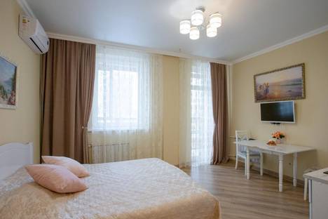 Однокомнатная квартира в аренду посуточно в Екатеринбурге по адресу улица Белинского, 30