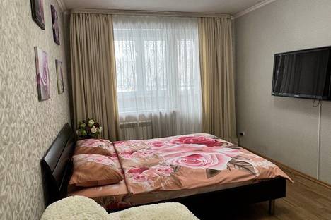 Однокомнатная квартира в аренду посуточно в Орске по адресу микрорайон Новый город, проспект Ленина, 80А