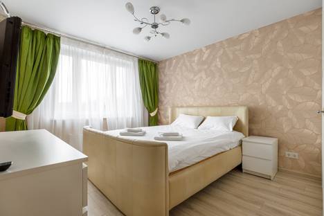 Однокомнатная квартира в аренду посуточно в Москве по адресу Муравская улица, 42к2