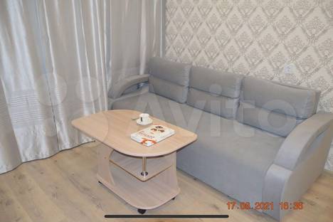Однокомнатная квартира в аренду посуточно в Рязани по адресу Введенская улица, 120