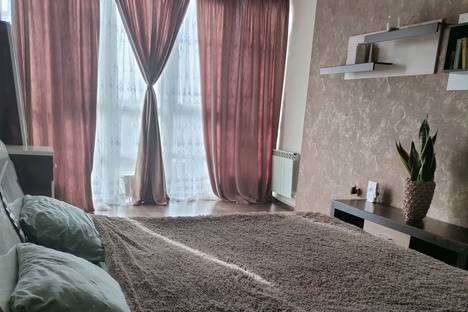 Однокомнатная квартира в аренду посуточно в Пятигорске по адресу Оранжерейная улица, 21к5