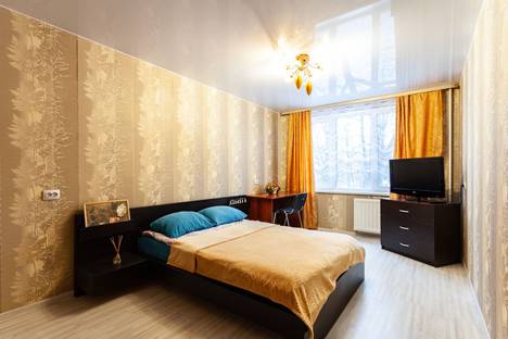 Двухкомнатная квартира в аренду посуточно в Санкт-Петербурге по адресу Бухарестская улица, 92