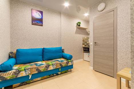 Однокомнатная квартира в аренду посуточно в Екатеринбурге по адресу улица Крестинского, 35