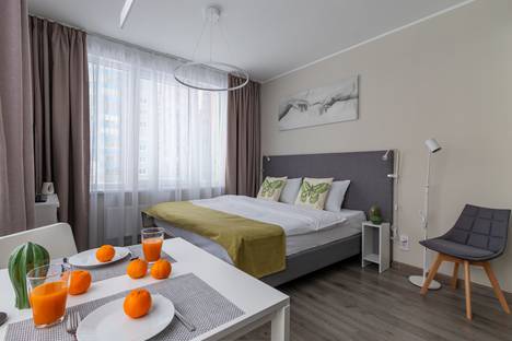 Однокомнатная квартира в аренду посуточно в Санкт-Петербурге по адресу Витебский проспект, 101к1