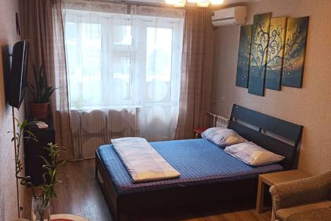 Однокомнатная квартира в аренду посуточно в Казани по адресу Чистопольская улица, 43