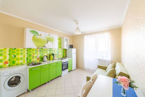 Однокомнатная квартира в аренду посуточно в Санкт-Петербурге по адресу Кушелевская дорога, 5к5