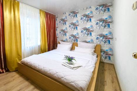 Двухкомнатная квартира в аренду посуточно в Екатеринбурге по адресу Восточная улица, 86