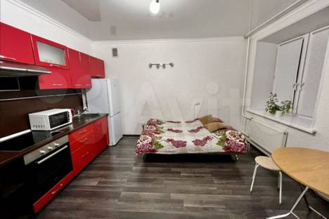 Однокомнатная квартира в аренду посуточно в Тюмени по адресу улица Беляева, 33к2