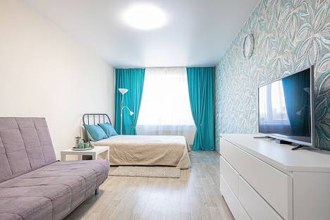 1-комнатная квартира в Нижнем Новгороде, улица Чкалова, 37к1, м. Чкаловская