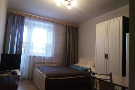 1-комнатная квартира в Нижнем Новгороде, Московское шоссе, 167к4