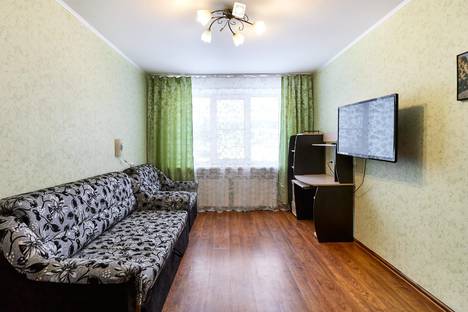 Однокомнатная квартира в аренду посуточно в Пушкинских Горах по адресу улица Ленина 46 кв51