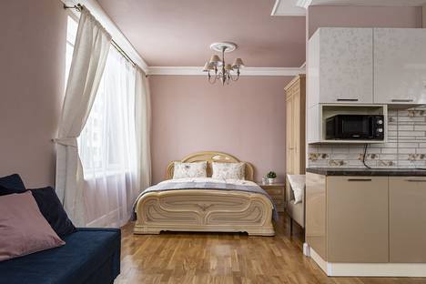 Однокомнатная квартира в аренду посуточно в Санкт-Петербурге по адресу Кременчугская улица, 21к3