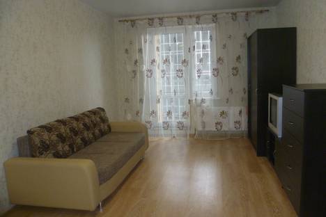 Однокомнатная квартира в аренду посуточно в Казани по адресу улица Профессора Камая, 10к2