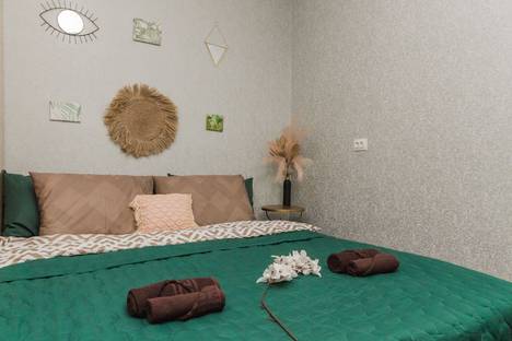 Однокомнатная квартира в аренду посуточно в Новосибирске по адресу улица Блюхера, 3, метро Площадь Маркса