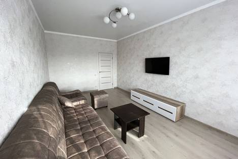 Двухкомнатная квартира в аренду посуточно в Ессентуках по адресу улица Нелюбина, 25