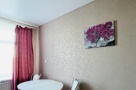 Однокомнатная квартира в аренду посуточно в Комсомольске-на-Амуре по адресу проспект Ленина, 21