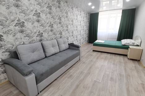 Однокомнатная квартира в аренду посуточно в Минусинске по адресу улица Трегубенко, 58