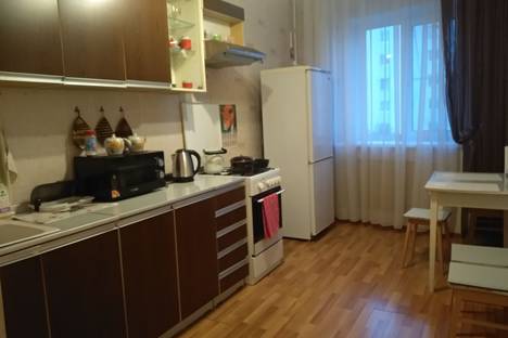 Двухкомнатная квартира в аренду посуточно в Нижнем Новгороде по адресу Витебская улица, 11, метро Чкаловская