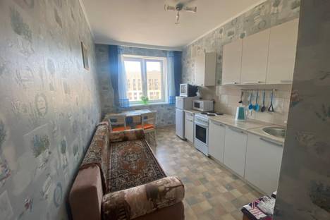 Однокомнатная квартира в аренду посуточно в Казани по адресу улица Баки Урманче, 5