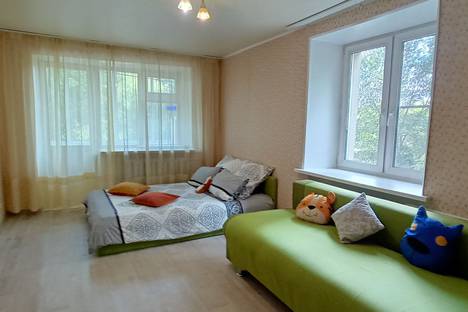 Однокомнатная квартира в аренду посуточно в Челябинске по адресу улица Блюхера, 63