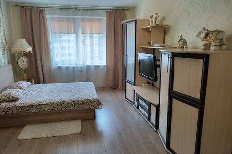 Однокомнатная квартира в аренду посуточно в Солигорске по адресу улица Константина Заслонова, 70