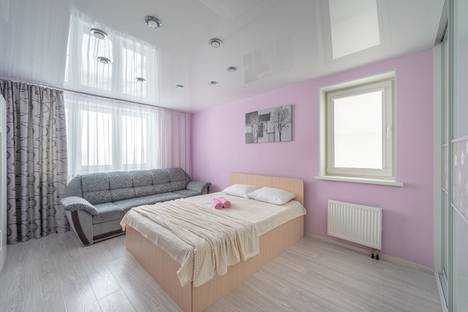 2-комнатная квартира в Екатеринбурге, микрорайон Уралмаш, улица Ильича, 42, м. Проспект Космонавтов