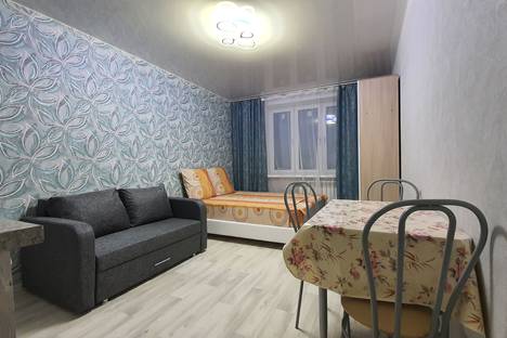 Двухкомнатная квартира в аренду посуточно в Владимире по адресу ул. Горького, 133