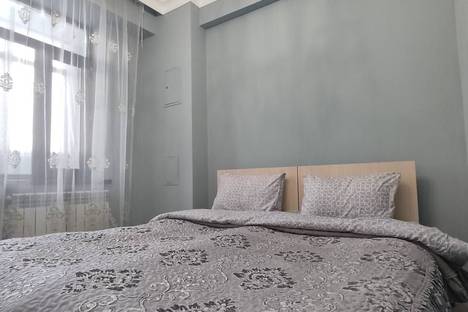Трёхкомнатная квартира в аренду посуточно в Бишкеке по адресу ул. Токтоболота Абдумомунова, 244