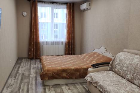 Однокомнатная квартира в аренду посуточно в Рязани по адресу ул. Чапаева, 61