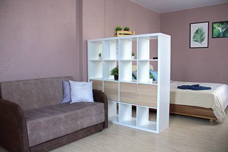 Однокомнатная квартира в аренду посуточно в Нижнем Новгороде по адресу ул. Маршала Баграмяна, 1, подъезд 9